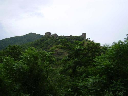 ����������� ���� 2010